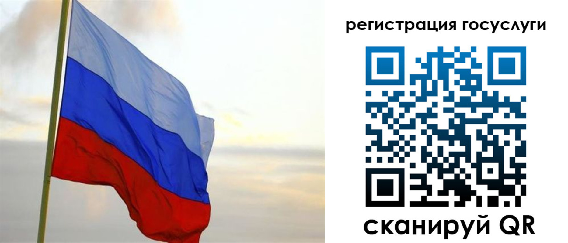 форма 3 в Владимирской области
